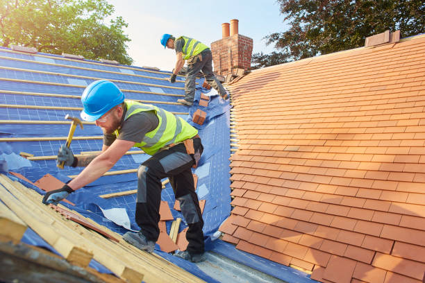 Best Roof Insulation Installation  in North Branch, MN